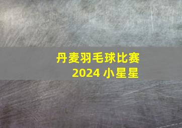 丹麦羽毛球比赛2024 小星星